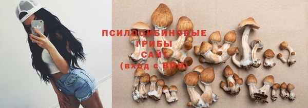 твердый Арсеньев