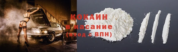 твердый Арсеньев