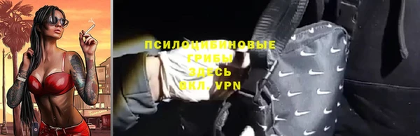 ПСИЛОЦИБИНОВЫЕ ГРИБЫ Армянск