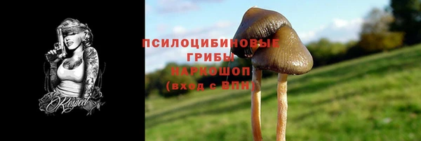 твердый Арсеньев