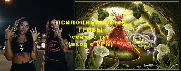 твердый Арсеньев