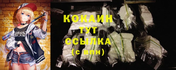 твердый Аркадак