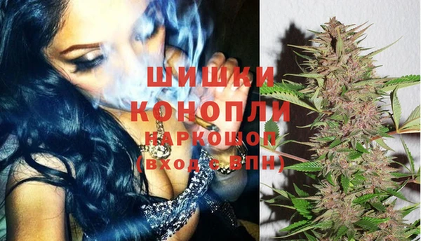 твердый Аркадак