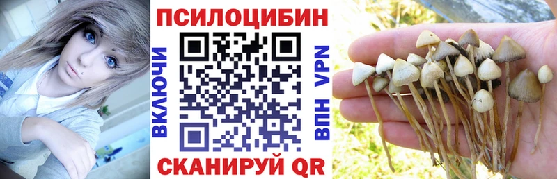 где купить наркоту  Зверево  mega сайт  Галлюциногенные грибы MAGIC MUSHROOMS 